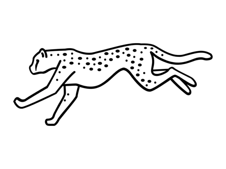 Cheetah Logo