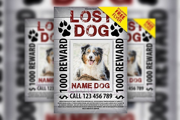 Classic Photo Lost Dog Reward Flyer Template