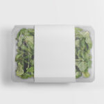Clear Plastic Food Packaging Mockup from a Top View