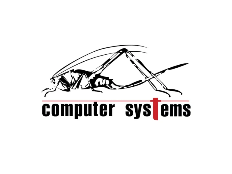 Computer Systems Logo