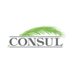 Consul Leaf Logo