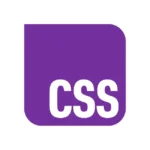 CSS Cascading Style Sheets 2025 Logo