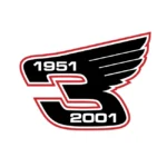 Dale Earnhardt Wings Logo