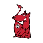 DDP Logo