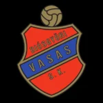 Diosgyöri Vasas SK Miskolc 1950s Logo