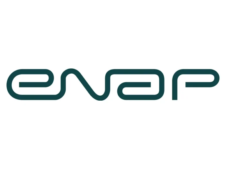 ENAP – Escola Nacional de Administração Pública Logo