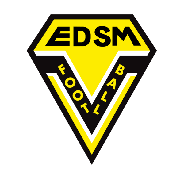 Étoile des sports montluçonnais logo