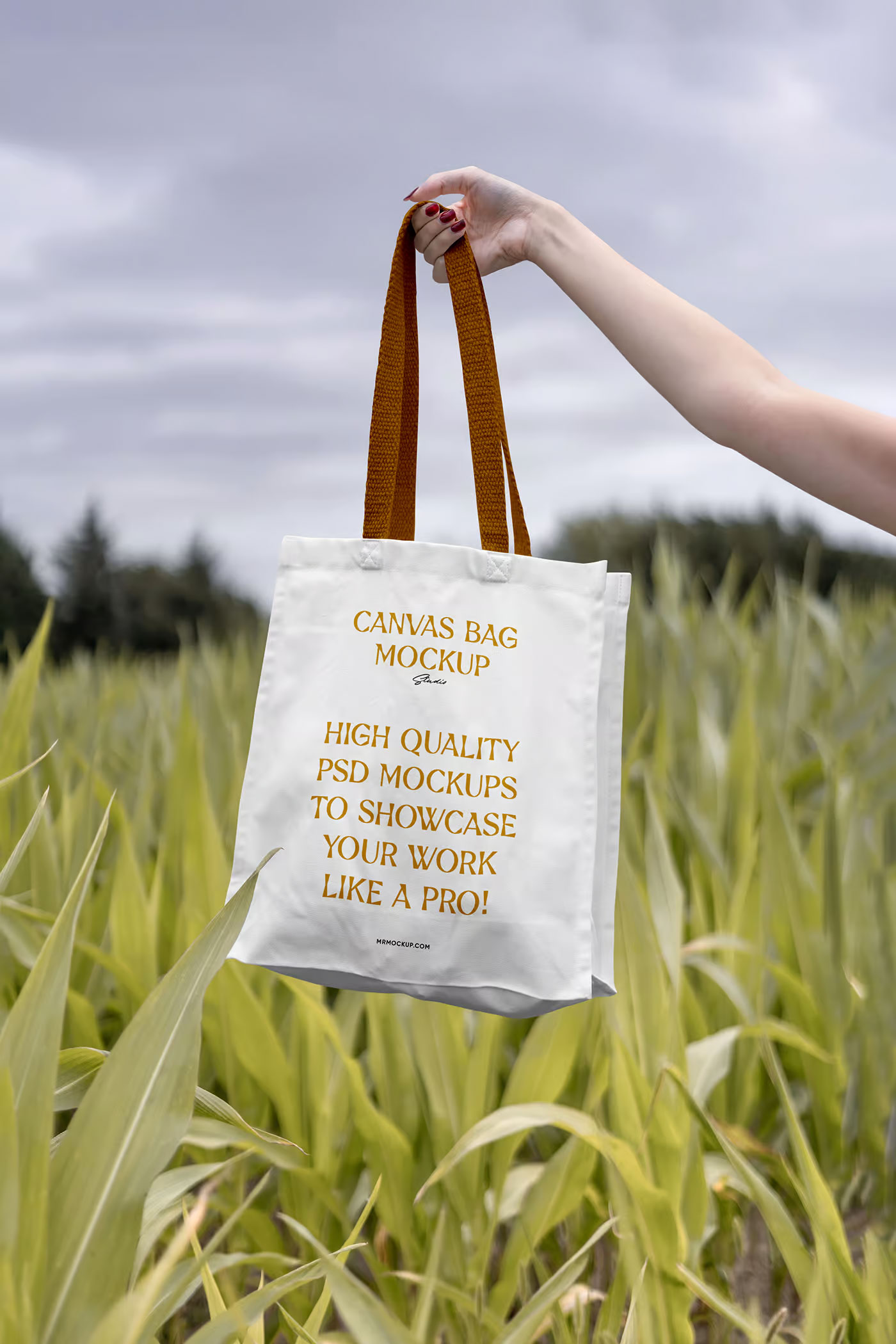 Free Facing Show of Cotton Bag Mockup PSD Template