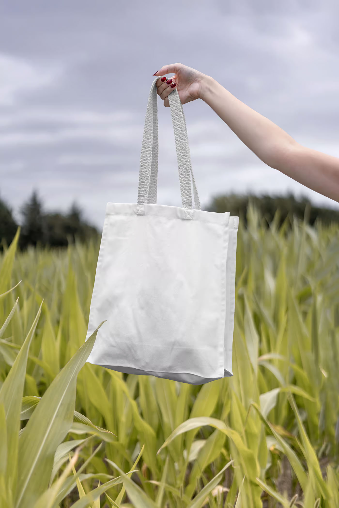 Free Facing Show of Cotton Bag Mockup PSD Template