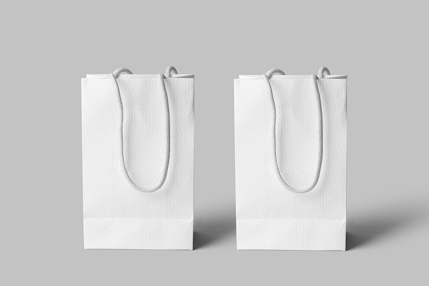Free Facing View of 2 Leather Gift Bags Mockup PSD Template