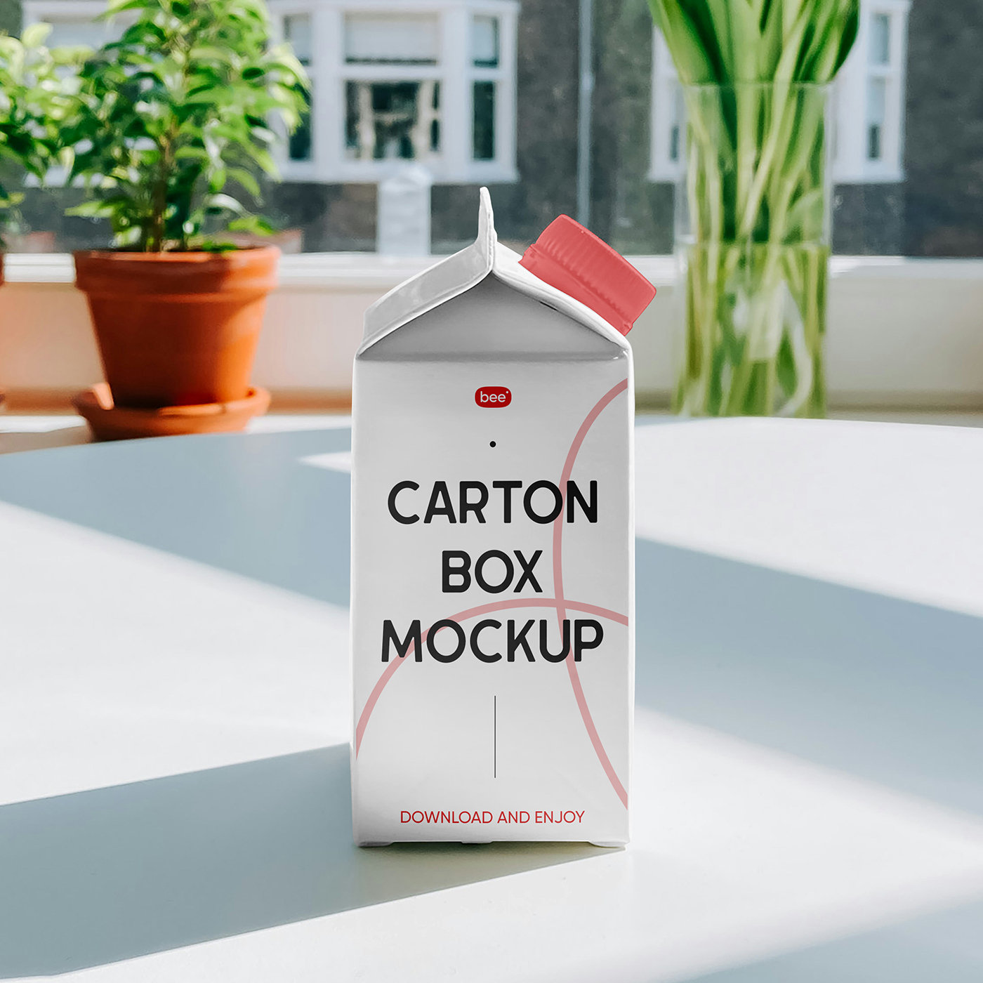 Facing View of Carton Packaging Mockup FREE PSD
