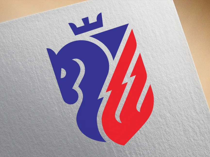 FC Botosani Logo