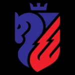 FC Botosani Logo