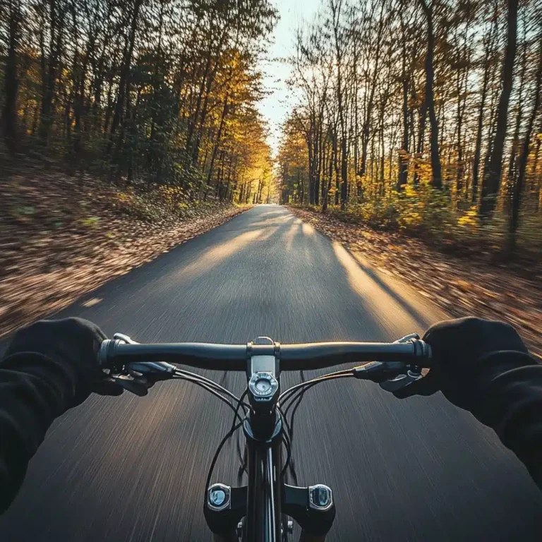First-Person Bicycle Ride
