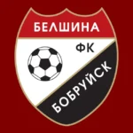 FK Belshina Bobruysk Logo