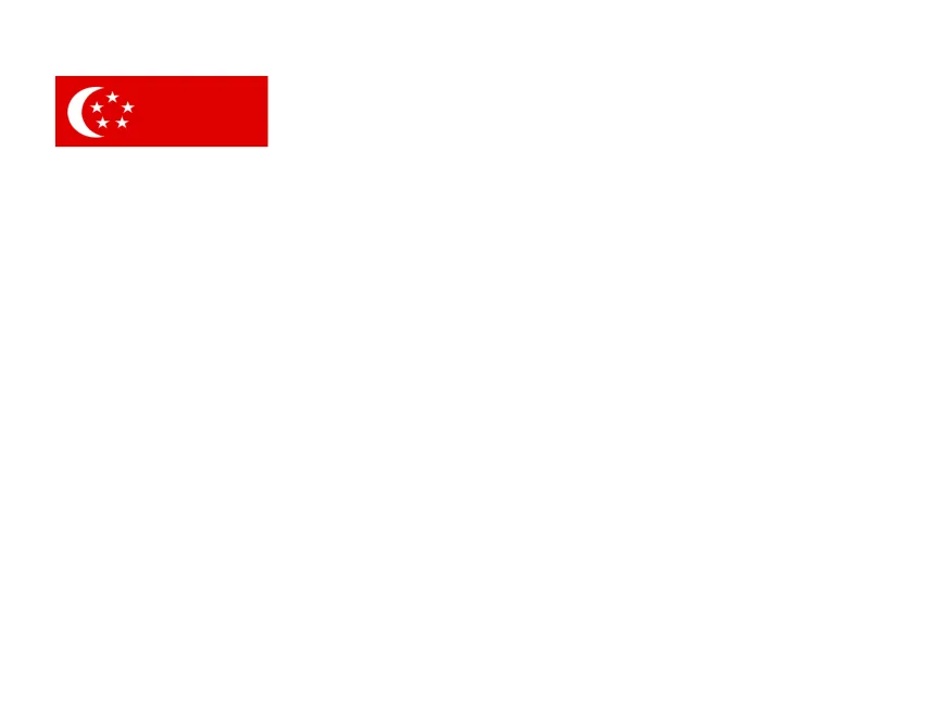 Flag of Singapore Logo