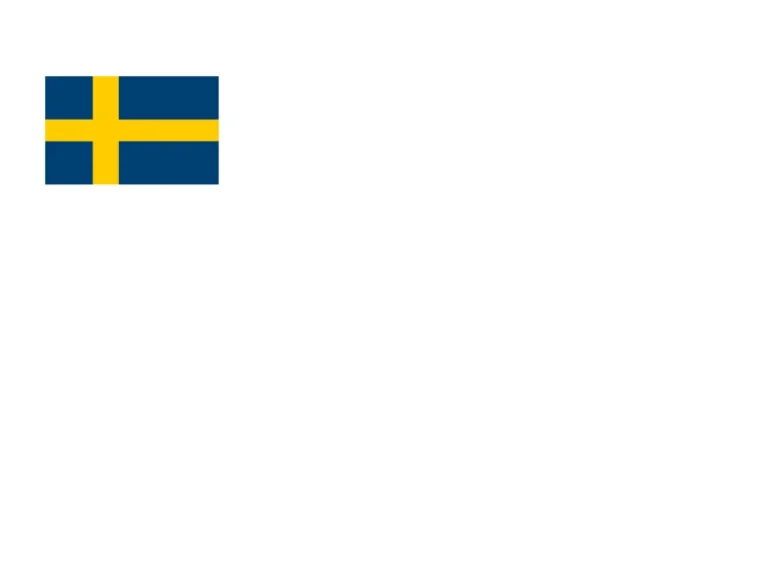 Flag of Sweden Logo
