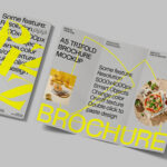 Folded Brochure Mockup in Top View