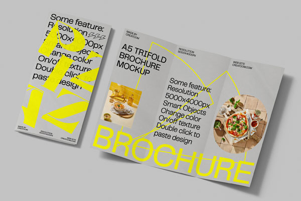 Folded Brochure Mockup in Top View