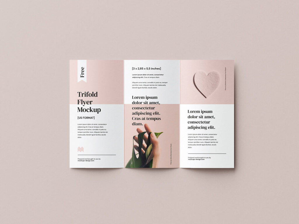 Four 285×55 In Tri-Fold Flyer / Brochure Mockups