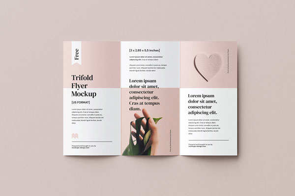 Four 285×55 In Tri-Fold Flyer / Brochure Mockups