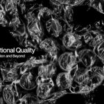 100 Bubble Wrap Textures