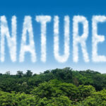 Cloud Text Effect