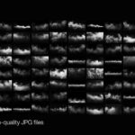 200 Fog Textures
