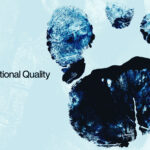 60 Footprint Textures