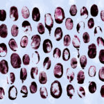100+ Hand / Fingerprint Textures