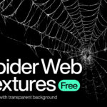200 Spider Web Textures