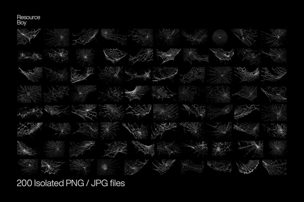 200 Spider Web Textures