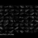 200 Spider Web Textures
