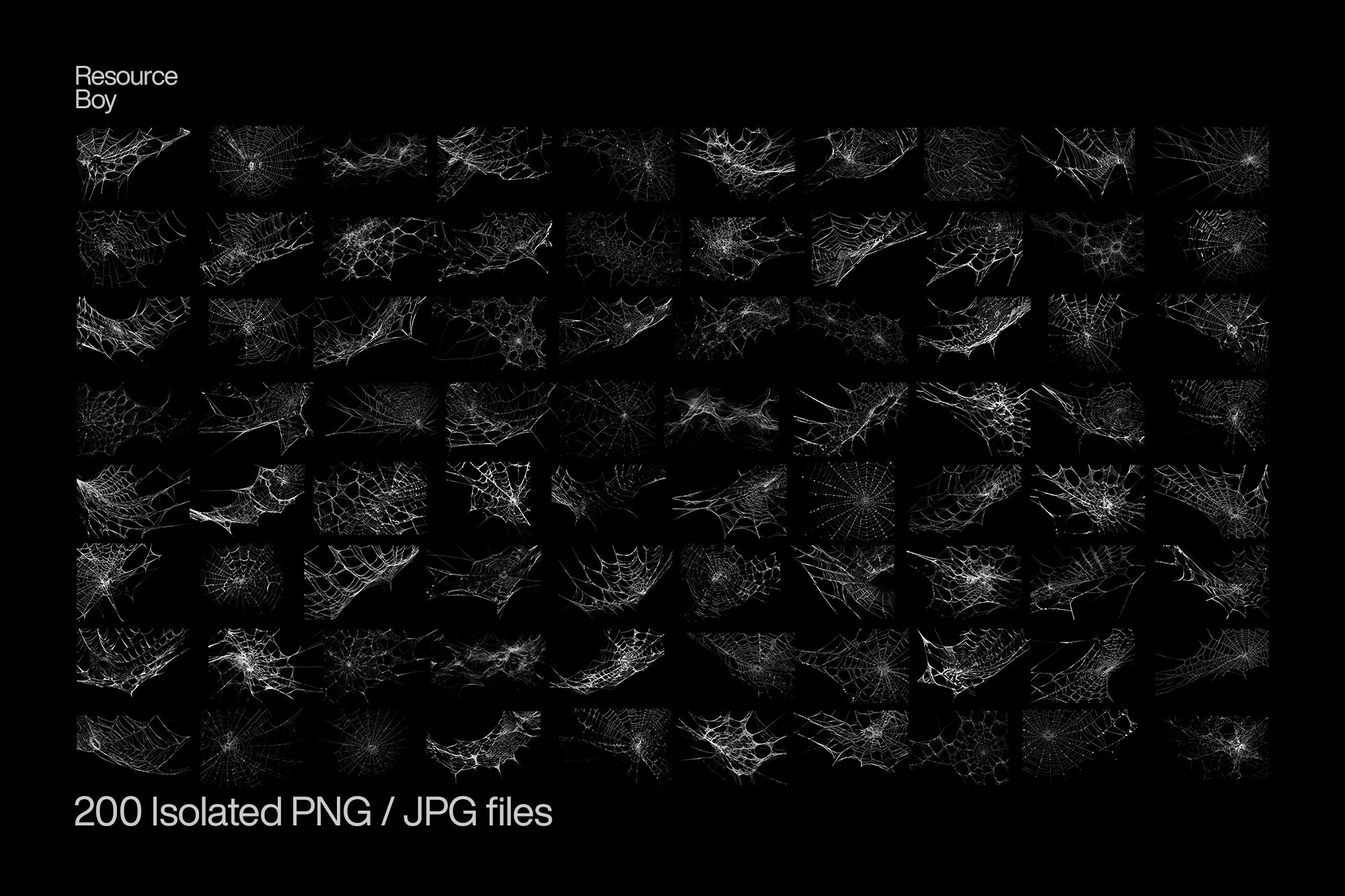 Free Spider Web PNG Textures
