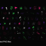 100 Splatter Textures