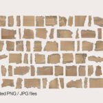 100 Torn Cardboard Textures