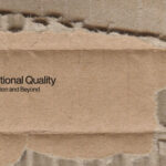 100 Torn Cardboard Textures