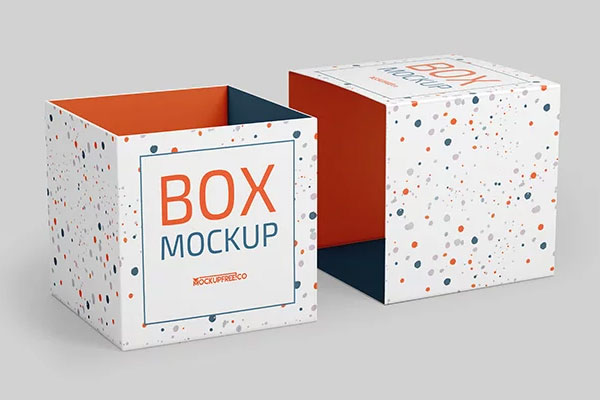 Front Sight of Box Mockup