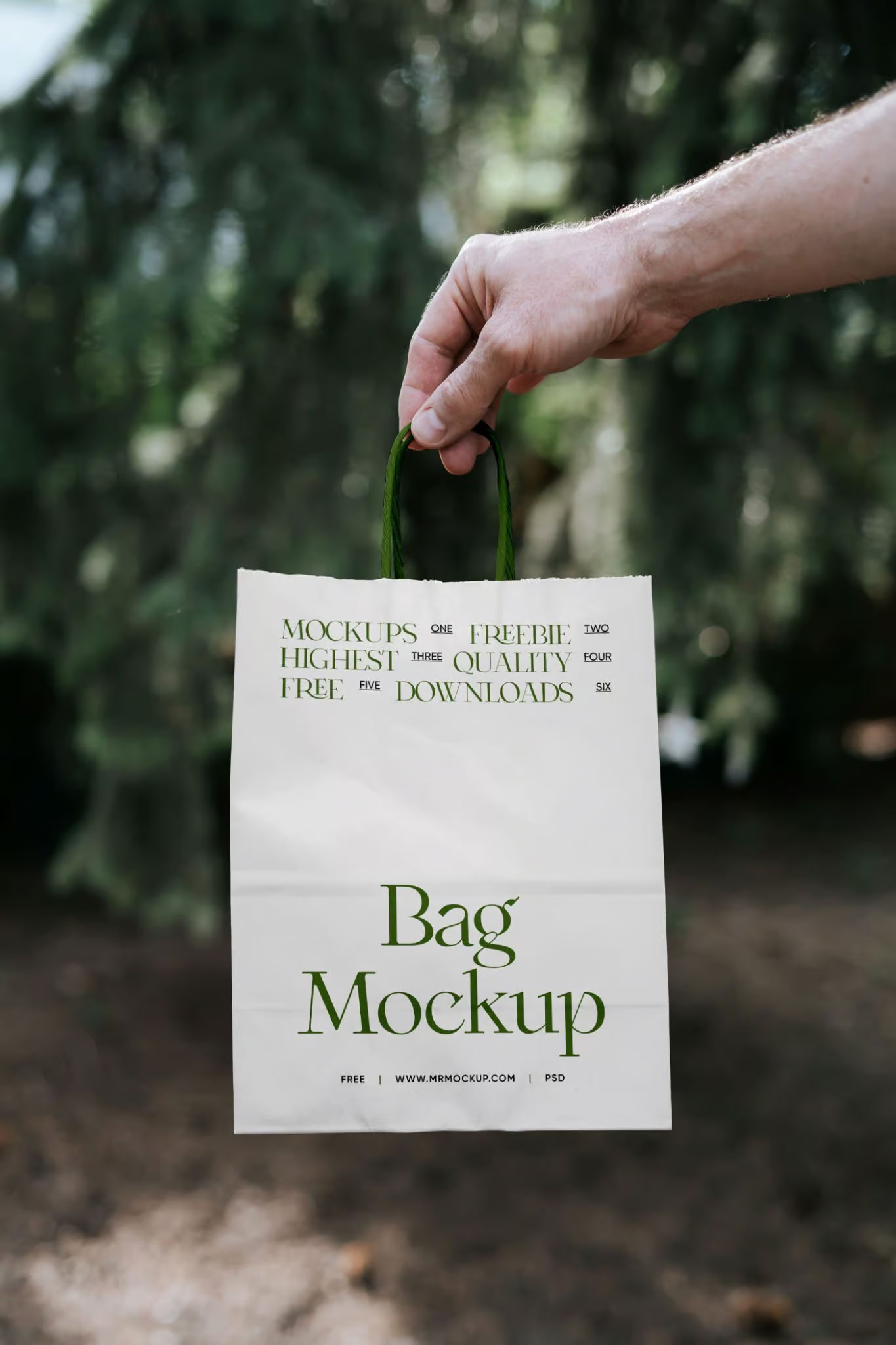 Free Front Sight of Packaging Paper Bag Mockup in Hand PSD Template