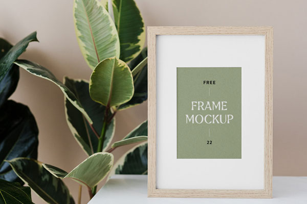Front Sight of Wood Frame Mockup with Plant