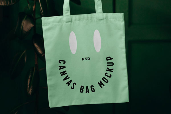 Front View Holding Up Canvas Bag in Leaving Room Mockup