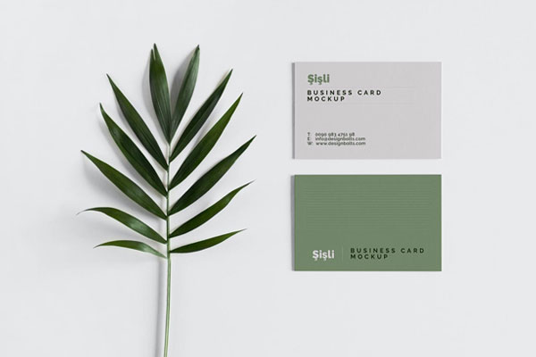 Front View of 2 Minimalistic Business Cards Mockup