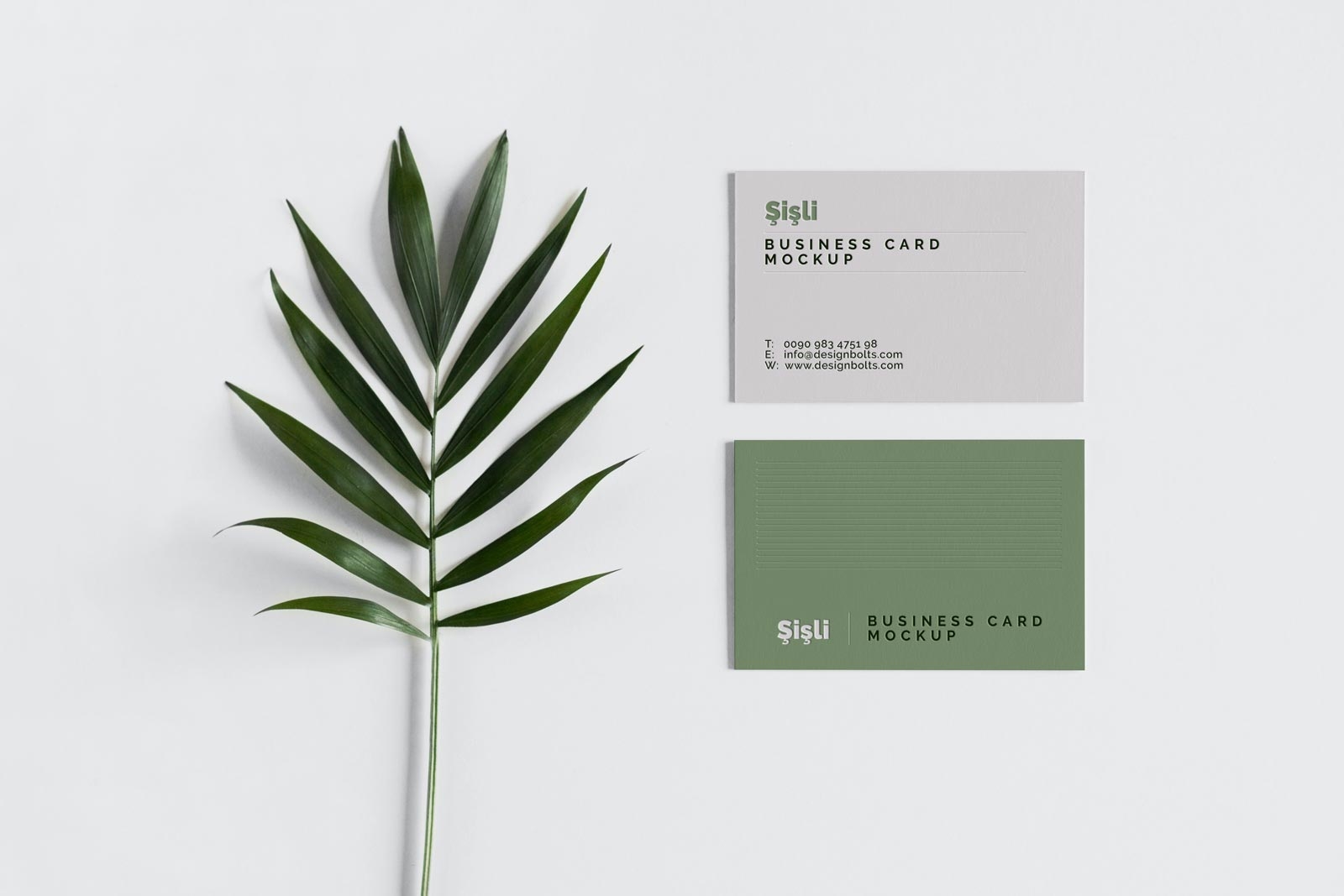 Front View of 2 Minimalistic Business Cards Mockup FREE PSD