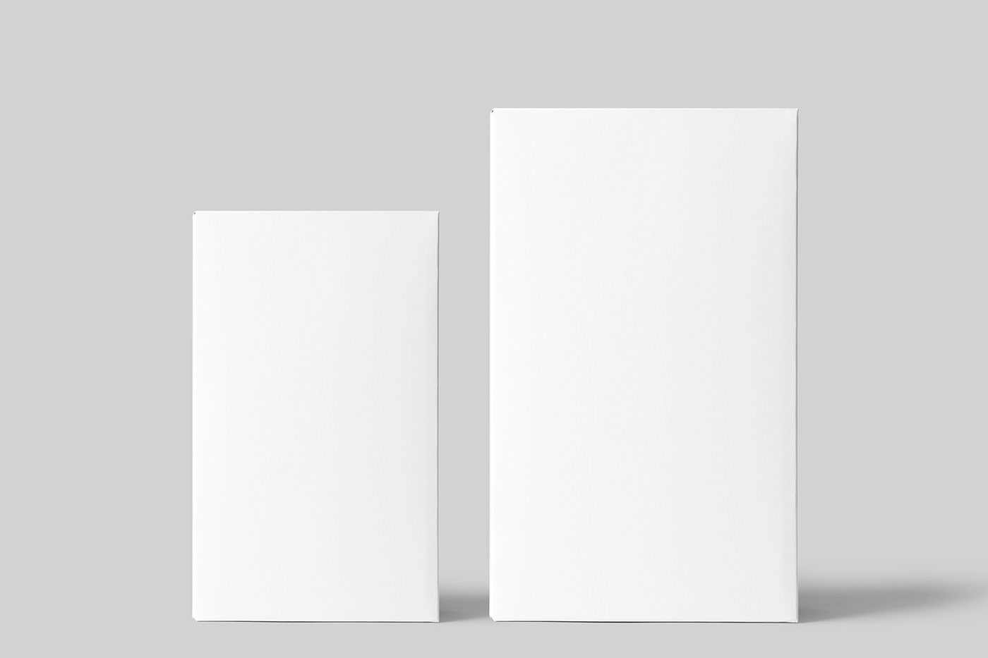 Free Front View of 2 Vertical Boxes Mockup PSD Template