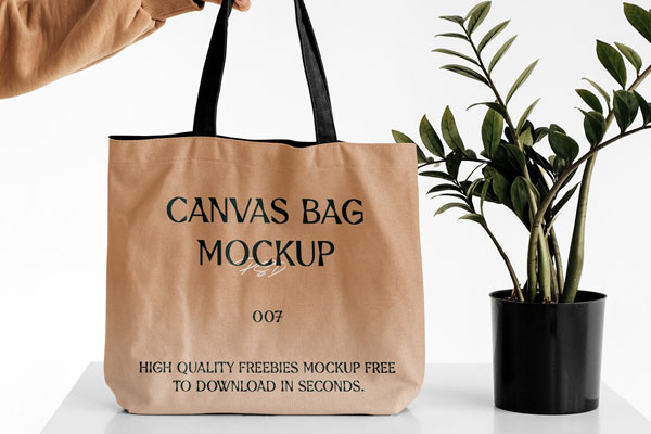 Front View of a Hand Holding Canvas Bag Mockup