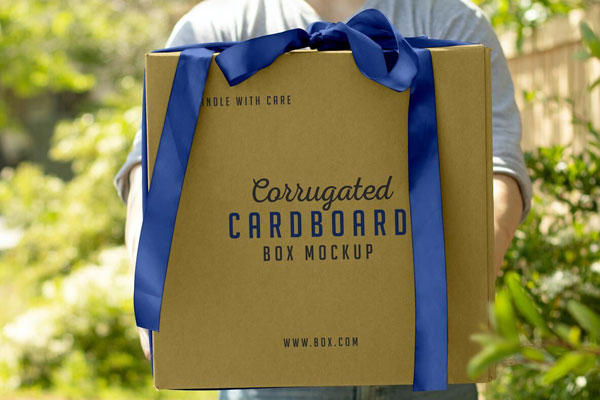 Front View of a Hand Holding Corrugated Cardboard Box Mockup