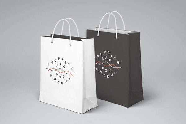Front View of Two Standing Paper Shopping Bag Mockup