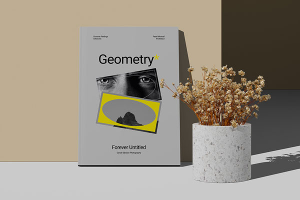 Front View of A4 Magazine Cover Mockup with Dry Plant