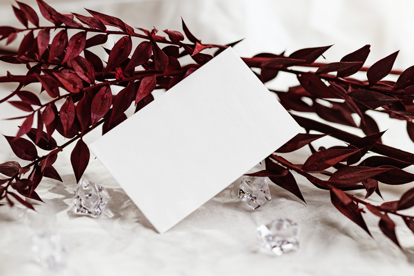 Front View of Business Card Mockup Standing at Angle with Leaf FREE PSD
