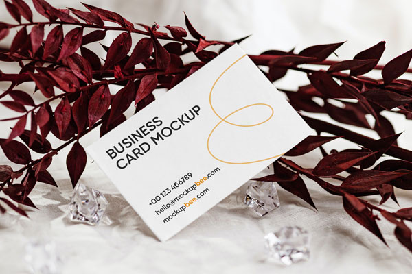 Front View of Business Card Mockup Standing at Angle with Leaf